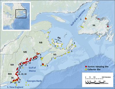 The American Lobster Settlement Index: History, lessons, and future of a long-term, transboundary monitoring collaborative